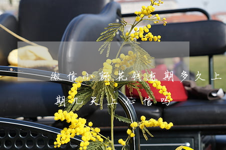 微信小额花钱逾期多久上征信 微信微粒贷逾期几天上征信吗