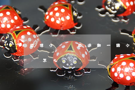 微信小鵝貸款逾期一周(小鵝花錢逾期一個月會怎么樣)