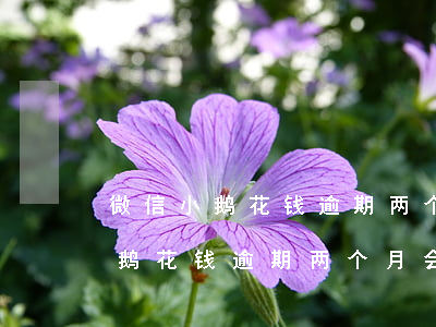 微信小鹅花钱逾期两个月会怎么样-微信小鹅花钱逾期两个月会怎么样吗