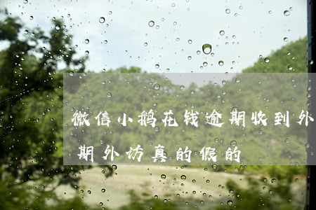微信小鹅花钱逾期收到外访通知(小鹅花钱逾期外访真的假的)