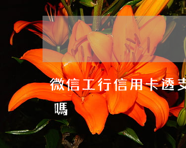微信工行信用卡透支額度(微信能透支信用卡嗎)