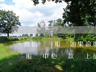 微信幫幫服務如果逾期會怎么樣-微信幫幫服務中心貸款會上征信嗎