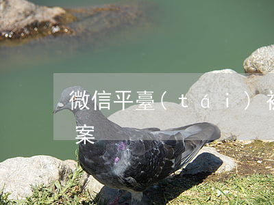 微信平臺(tái)被起訴(微信起訴多久立案)
