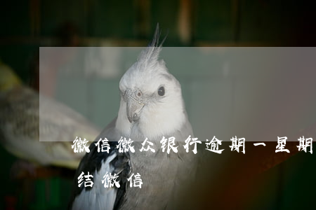 微信微众银行逾期一星期-微众银行逾期冻结微信