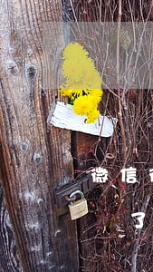 微信微樂分逾期不能借-微樂分逾期微信封號了