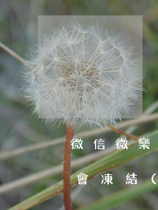 微信微樂分逾期會自動扣款嗎-微樂分逾期會凍結(jié)微信?