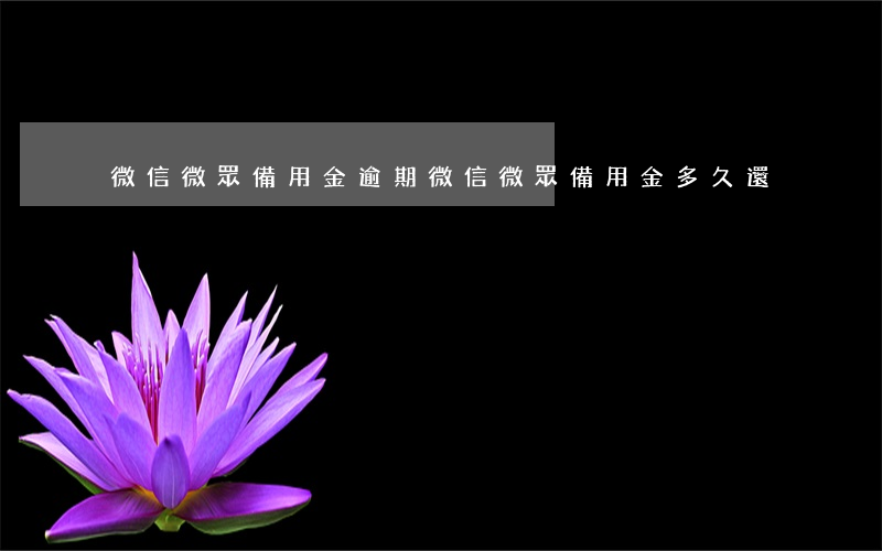 微信微眾備用金逾期(微信微眾備用金多久還)
