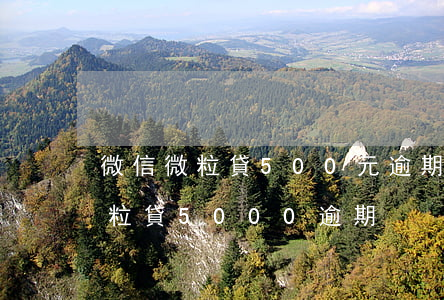 微信微粒貸500元逾期一個(gè)月(微粒貸5000逾期)