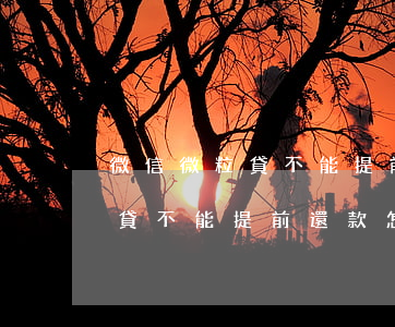 微信微粒貸不能提前還款怎么辦-微信微粒貸不能提前還款怎么辦呢