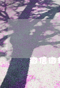 微信微粒貸可以提前還款一半嘛-