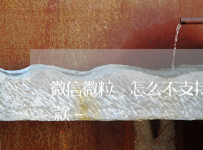 微信微粒貸怎么不支持零錢(qián)還款-
