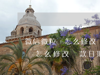 微信微粒貸怎么修改還款日期啊-微信微粒貸怎么修改還款日期啊視頻