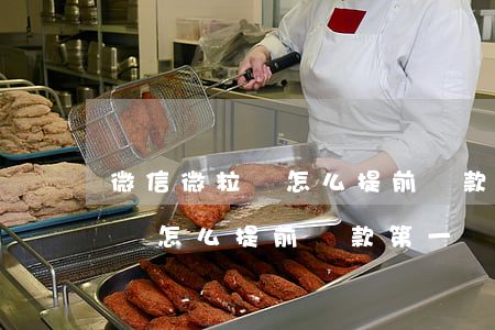 微信微粒貸怎么提前還款第一筆-微信微粒貸怎么提前還款第一筆錢