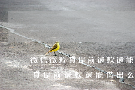 微信微粒貸提前還款還能借出么-微信微粒貸提前還款還能借出么