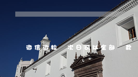 微信微粒貸次日可以全部還款嗎-