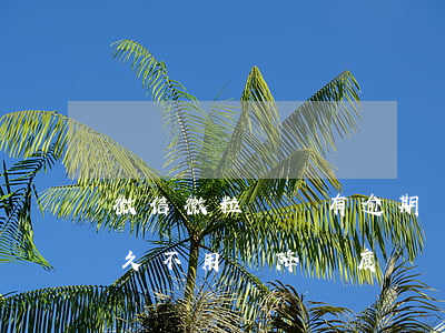 微信微粒貸沒有逾期會降額度嗎-微粒貸多久不用會降額度