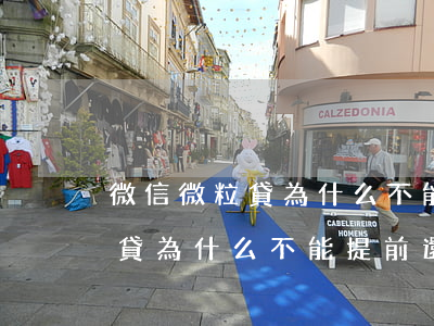 微信微粒貸為什么不能提前還款-微信微粒貸為什么不能提前還款了