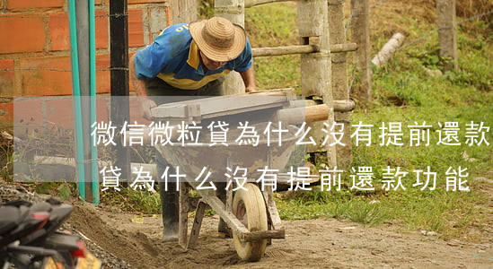 微信微粒貸為什么沒有提前還款-微信微粒貸為什么沒有提前還款功能