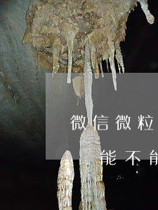 微信微粒貸能不能提前部分還款-微信微粒貸能不能提前部分還款呢