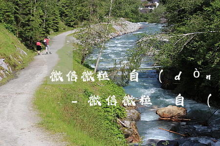 微信微粒貸自動(dòng)還款失敗怎么辦-微信微粒貸自動(dòng)還款失敗怎么辦啊