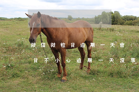 微信微粒貸逾期一天會(huì)怎樣(微粒貸不小心逾期一天沒事吧)