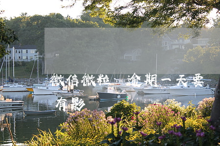 微信微粒貸逾期一天要緊嗎 微粒貸逾期一天有影響嗎