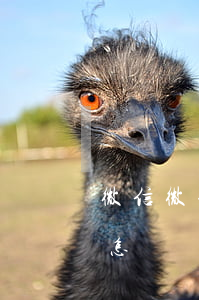 微信微粒貸逾期一天還款(微粒貸逾期1天會怎樣?)