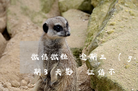 微信微粒貸逾期三個(gè)月-微粒貸逾期3天影響征信不