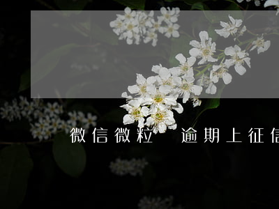 微信微粒貸逾期上征信嗎(微粒貸上征信了嗎)