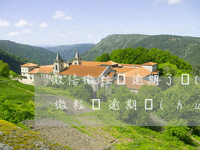 微信微粒貸逾期了會(huì)怎么樣（微信微粒貸逾期會(huì)上門嗎）