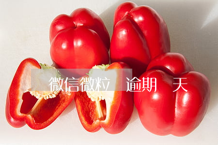 微信微粒貸逾期兩天