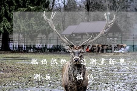 微信微粒貸逾期重新申請新號扣款(微粒貸逾期后換個微信號)