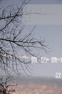 微信微粒貸還款失敗在如何還款-微信微粒貸還款失敗在如何還款呢