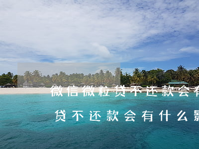 微信微粒贷不还款会有什么影响-微信微粒贷不还款会有什么影响吗