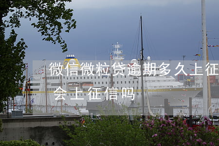 微信微粒贷逾期多久上征信(微粒贷逾期几天会上征信吗)