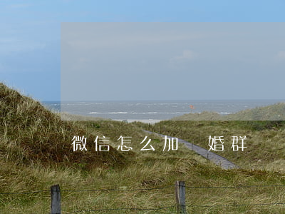 微信怎么加離婚群
