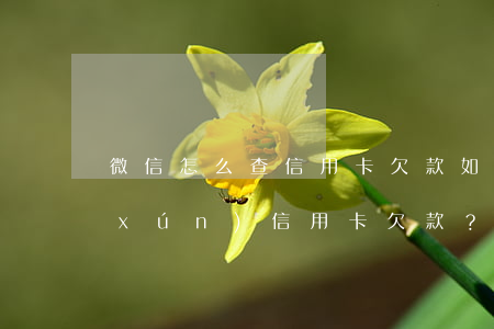 微信怎么查信用卡欠款，如何在微信上查詢(xún)信用卡欠款？詳細(xì)步驟在這里！