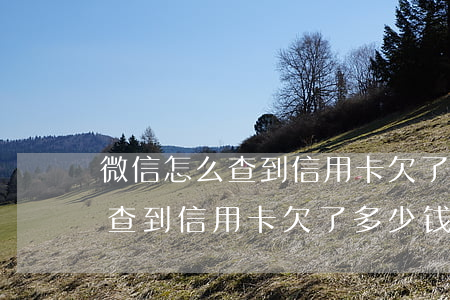 微信怎么查到信用卡欠了多少钱-微信怎么查到信用卡欠了多少钱呢