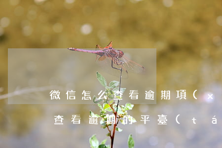 微信怎么查看逾期項(xiàng)目(怎么查看逾期的平臺(tái))