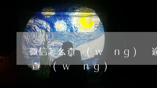 微信怎么查網(wǎng)貸逾期(微信怎么查網(wǎng)貸記錄)