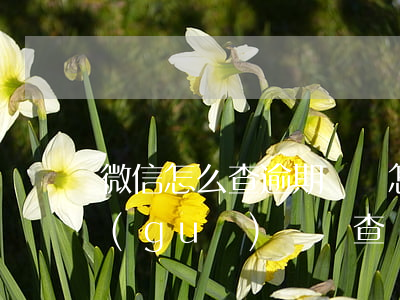 微信怎么查逾期記錄(怎么查看微信最近違規(guī)記錄查詢)