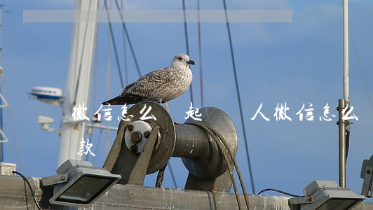 微信怎么樣起訴別人(微信怎么樣起訴別人欠款)