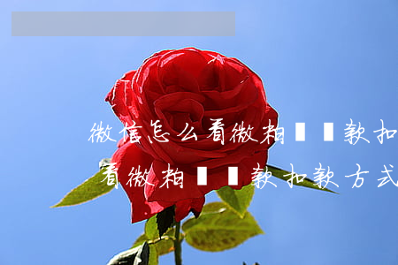 微信怎么看微粒貸還款扣款方式-微信怎么看微粒貸還款扣款方式呢