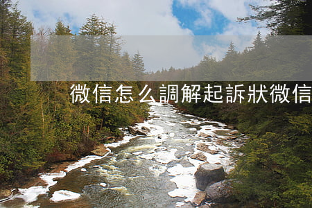 微信怎么調解起訴狀(微信如何訴訟)