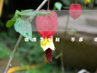 微信怎么起訴不退錢(微信起訴流程怎么走)