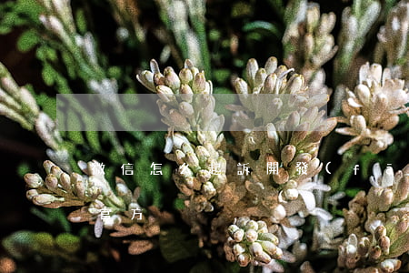 微信怎么起訴開發(fā)商(怎么起訴微信官方)