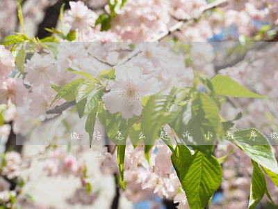 微信怎么起诉小程序(微信起诉小程序有用吗)