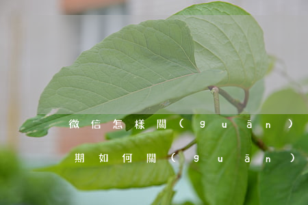 微信怎樣關(guān)閉自動扣款（微信逾期如何關(guān)閉自動扣款）