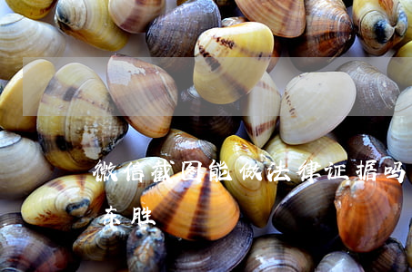 微信截图能做法律证据吗（有微信截图能起诉东胜）