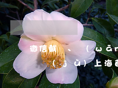 微信截圖、網(wǎng)銀回單這些都是證據(jù) ！上海首例微信買(mǎi)賣(mài)合同糾紛案宣判！